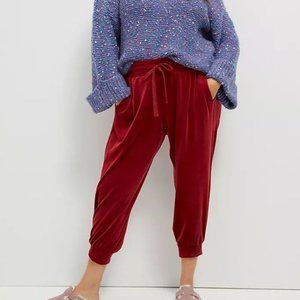 Anthropologie NWT's Merida Velvet Joggers